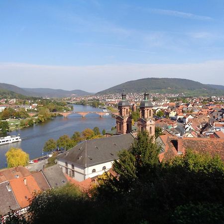 Villa Geisenhof Miltenberg Exteriér fotografie