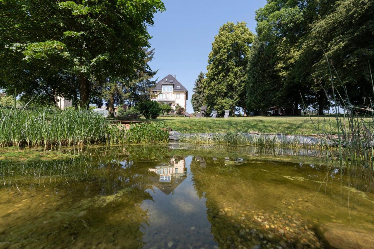 Villa Geisenhof Miltenberg Exteriér fotografie
