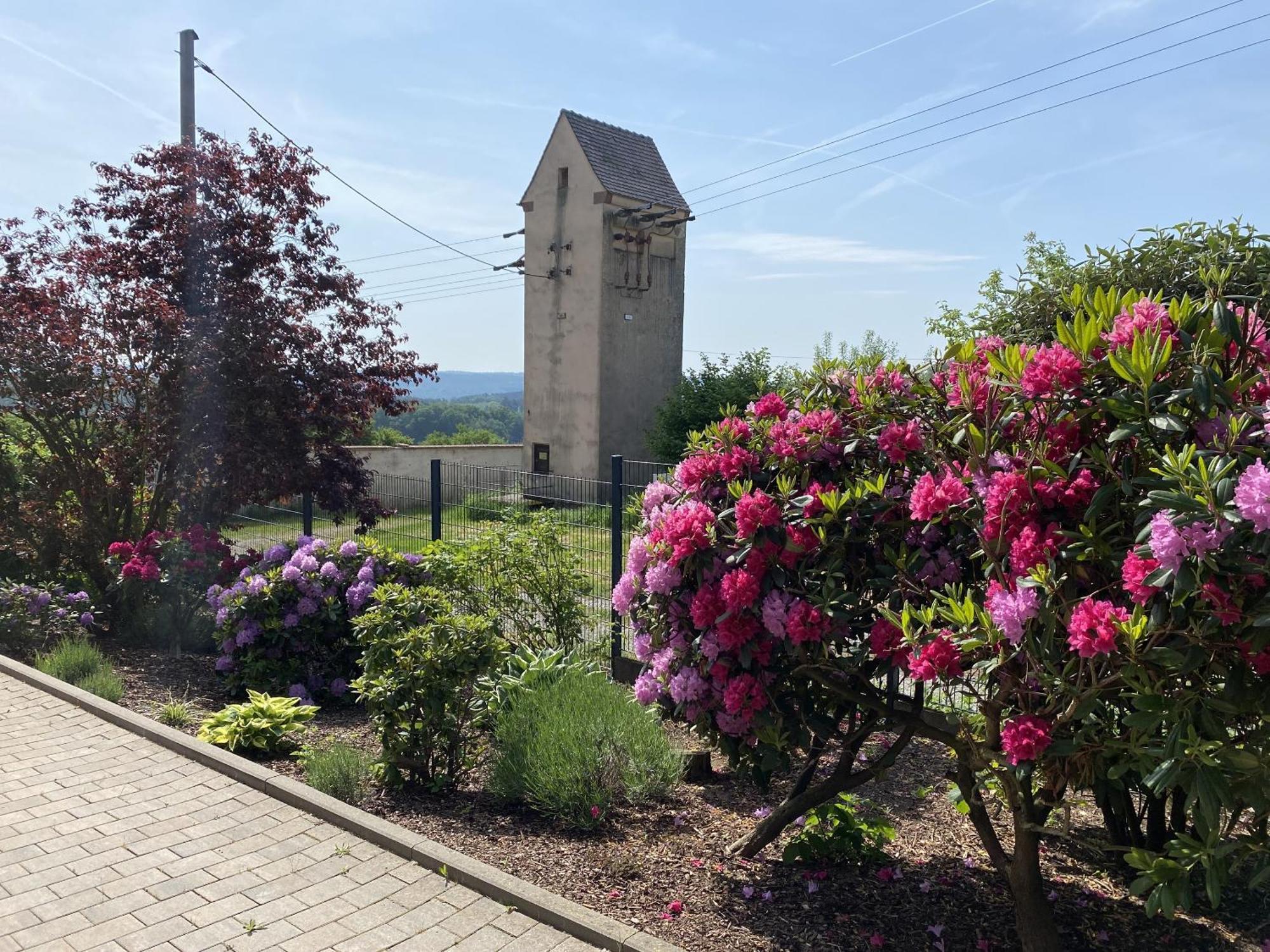 Villa Geisenhof Miltenberg Exteriér fotografie